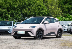 Quels véhicules de tourisme répondent aux besoins de votre entreprise ?